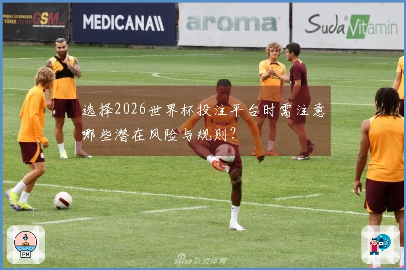 选择2026世界杯投注平台时需注意哪些潜在风险与规则？