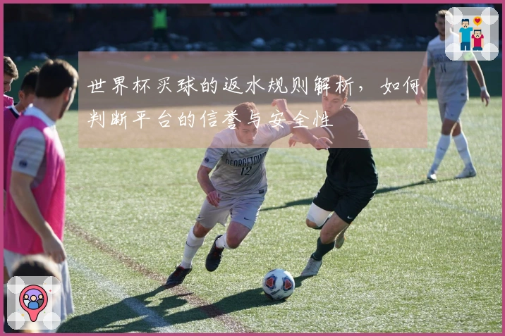 世界杯买球的返水规则解析，如何判断平台的信誉与安全性