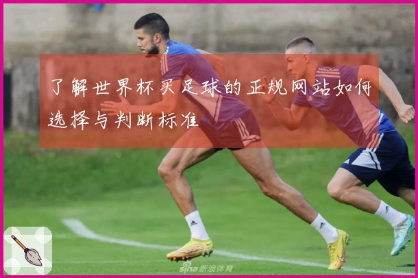 了解世界杯买足球的正规网站如何选择与判断标准