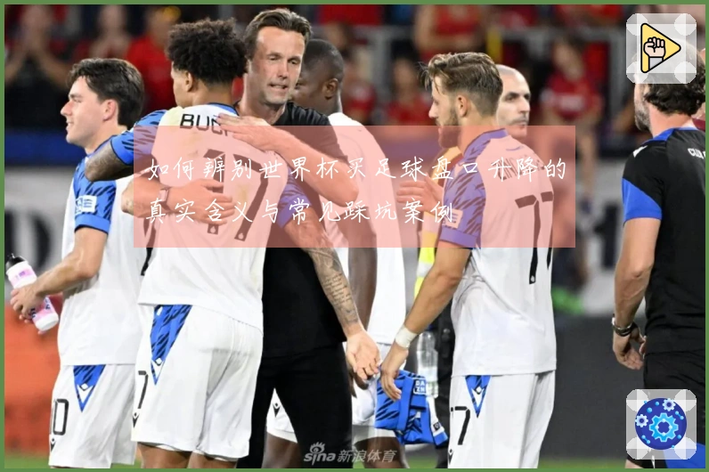 如何辨别世界杯买足球盘口升降的真实含义与常见踩坑案例