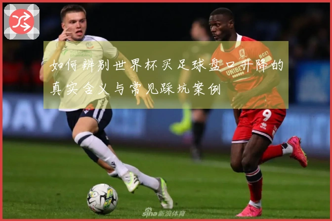 如何辨别世界杯买足球盘口升降的真实含义与常见踩坑案例